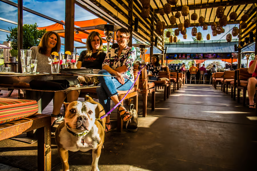 Scottsdale's Best Dog-Friendly Patios