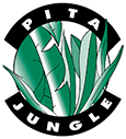 Pita Jungle in Scottsdale