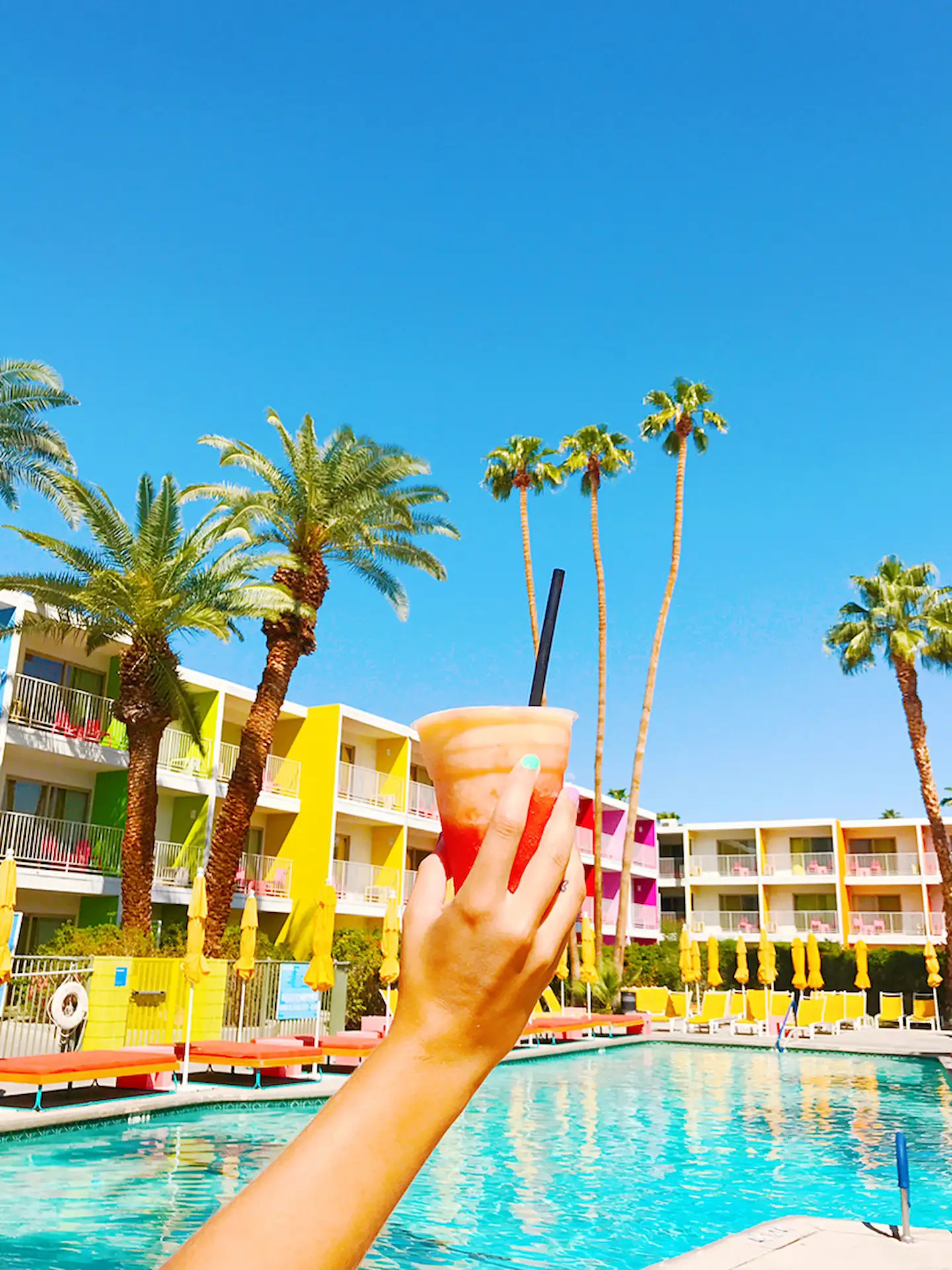 The Saguaro in Scottsdale