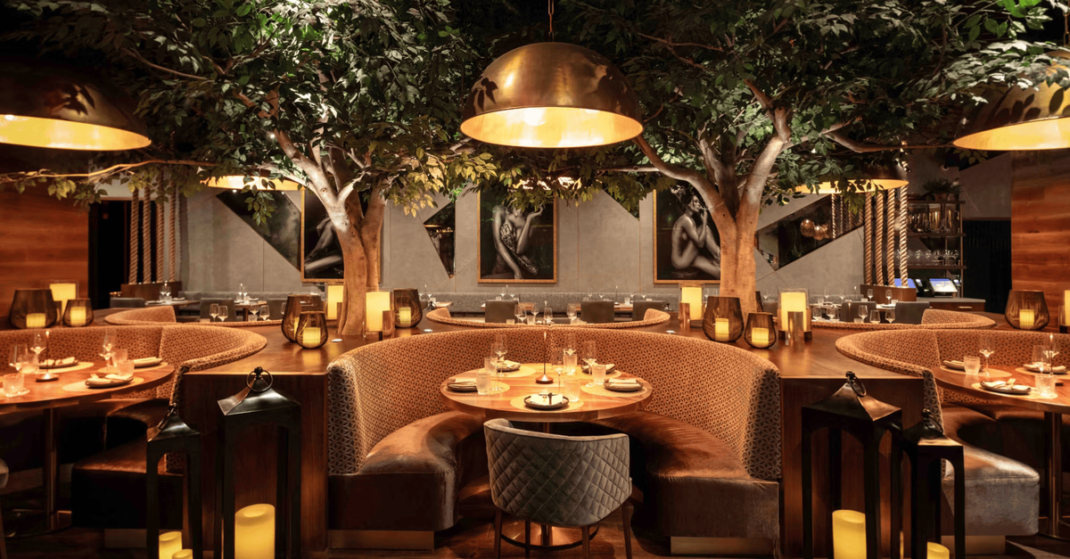 Toca Madera in Scottsdale